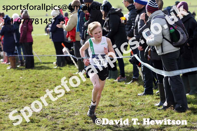 Boys under-13s 2019 British Athletics Inter Counties Cross Country, Prestwood Hall, Loughborough. Photo:  David T. Hewitson/Sports for All Pics